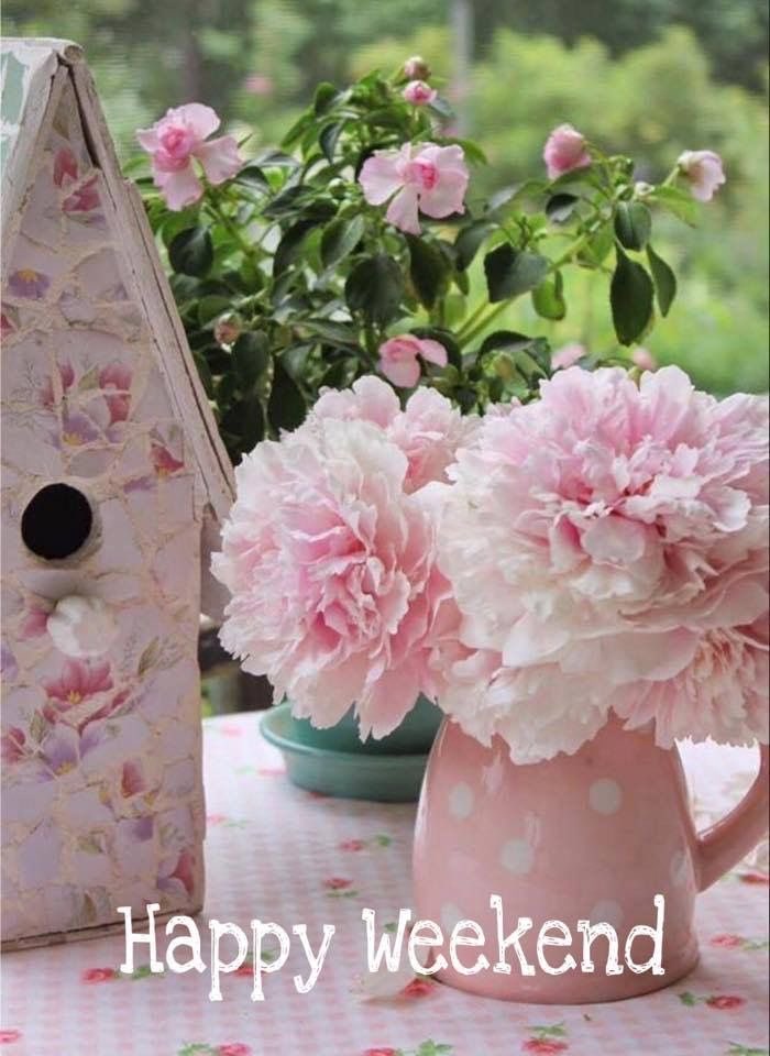 vicky8_1's tweet photo. @4e1_1 Happy Morning #love 💗 https://t.co/0QWBsvJYMA