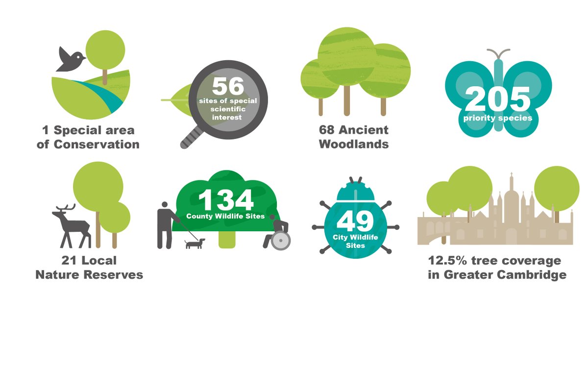SouthCambs's tweet photo. In case you missed it this morning: 

✏️ Consultation into our new joint Greater Cambridge Local Plan with @camcitco will begin later this year

📅 Residents will be asked to help shape the final plan from 1 November

Read more at https://t.co/L1B8BTsMVi https://t.co/9tnWJ6r2RI