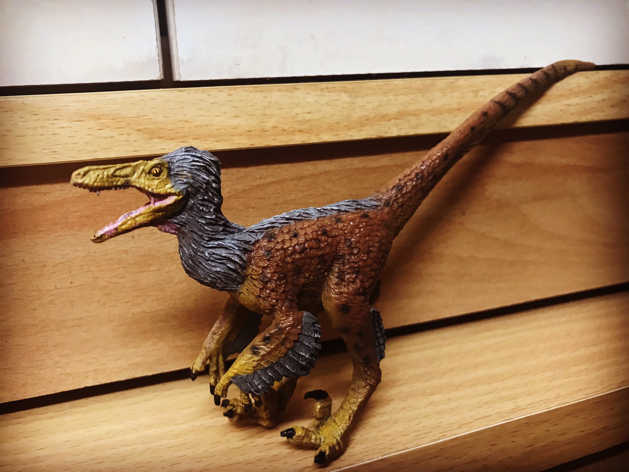 ありがひとし Arigahitoshi على تويتر 事務所の棚に住んでる恐竜たちです