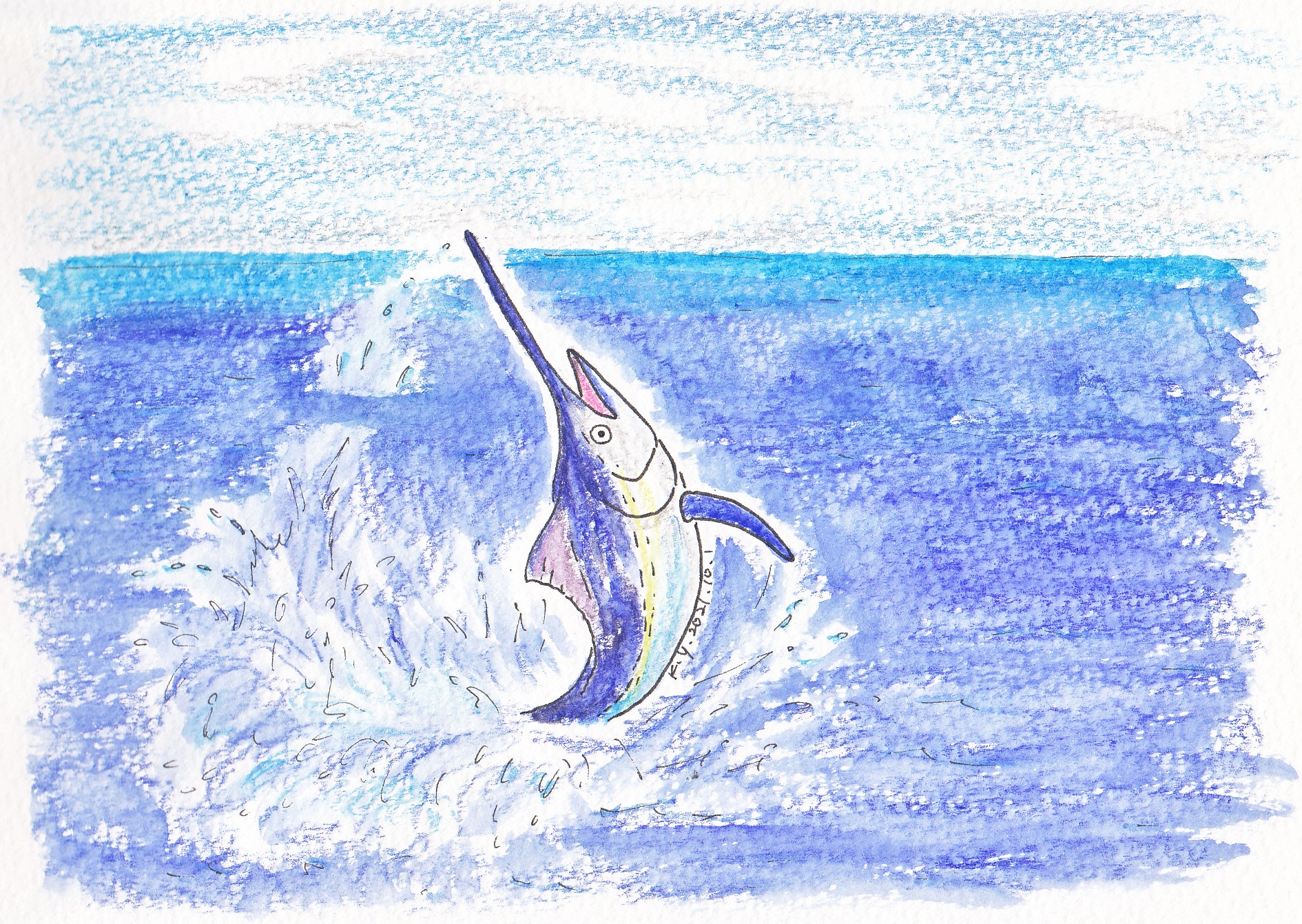 ゆりこうだい 1 マカジキ 一日一絵 イラスト 手描きイラスト マカジキ カジキ カジキマグロ 海釣り 釣り 海 魚 T Co 4jipyaxz7i Twitter