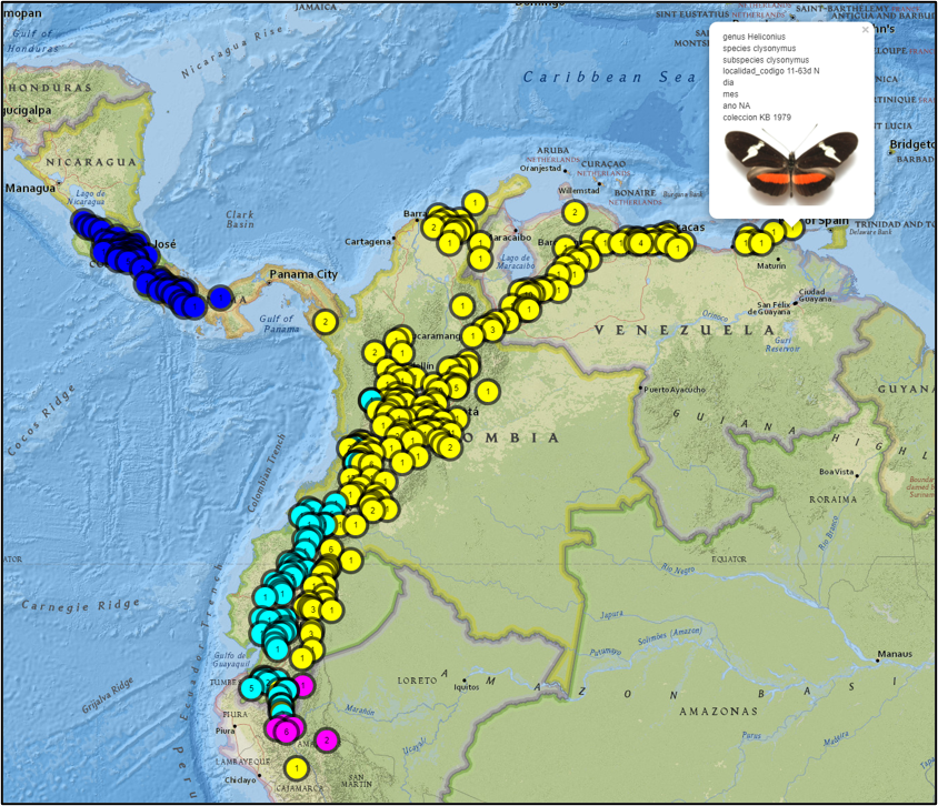 heliconiuspapers tweet media