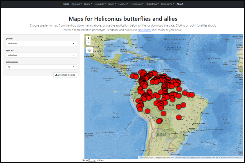heliconiuspapers tweet media