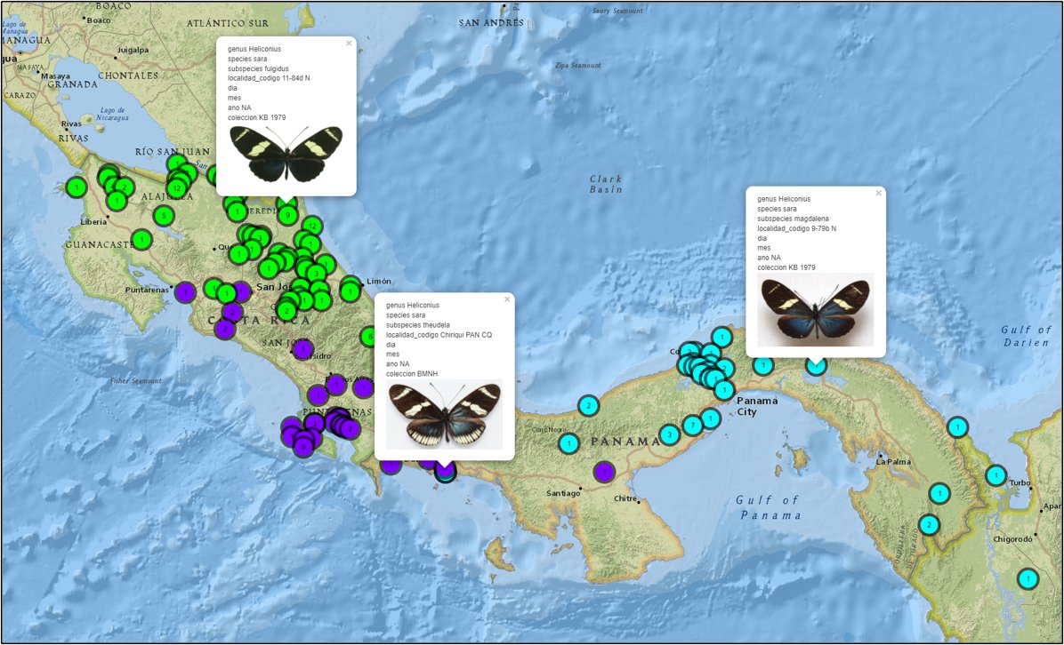 heliconiuspapers tweet media