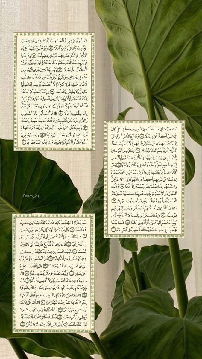 Reem_2ls's tweet photo. سورة الكهف💕 https://t.co/qAvtFIItj1