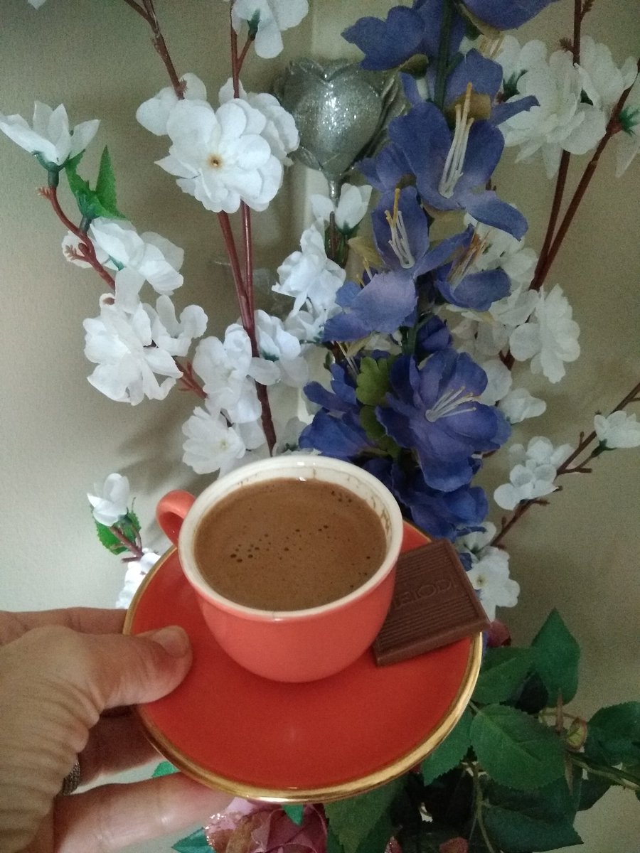 meryguney's tweet photo. ___Bazı şeyler #yazıda
Bazı şeyler #şiirde
     Bazı şeyler #resimde
Bazı şeylerde #hayalde güzeldir.
     Bügün alabildiğin #keyfi asla yarına erteleme.✍️
     #kahve keyfi☕
#1ekimdünyakahvegünü
          🌿🌸☕🤗☕🌸🌿 https://t.co/mu8GM8kKKr