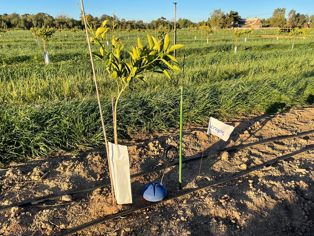 CropMetrics tweet media