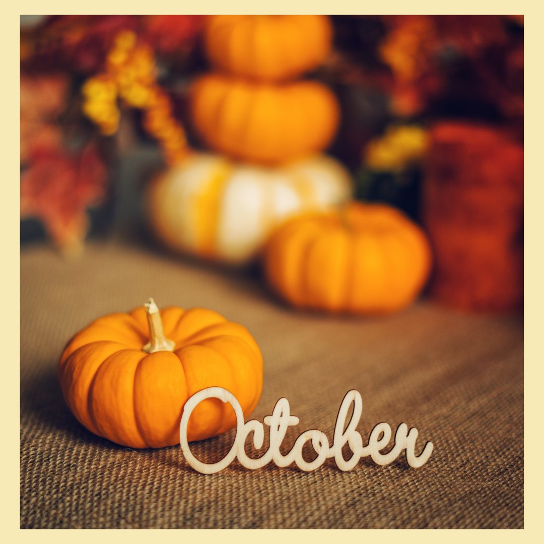 SafelyDelicious's tweet image. It's time for Pumpkin Pie Spice and everything nice!! 🍂 Visit @SafelyDelicious  to find a taste of Fall in our delicious Pumpkiny Bites Snacks.
🍂
#hellooctober
#fallishere
#pumpkinpiespice
#happyfallyall
#autumn