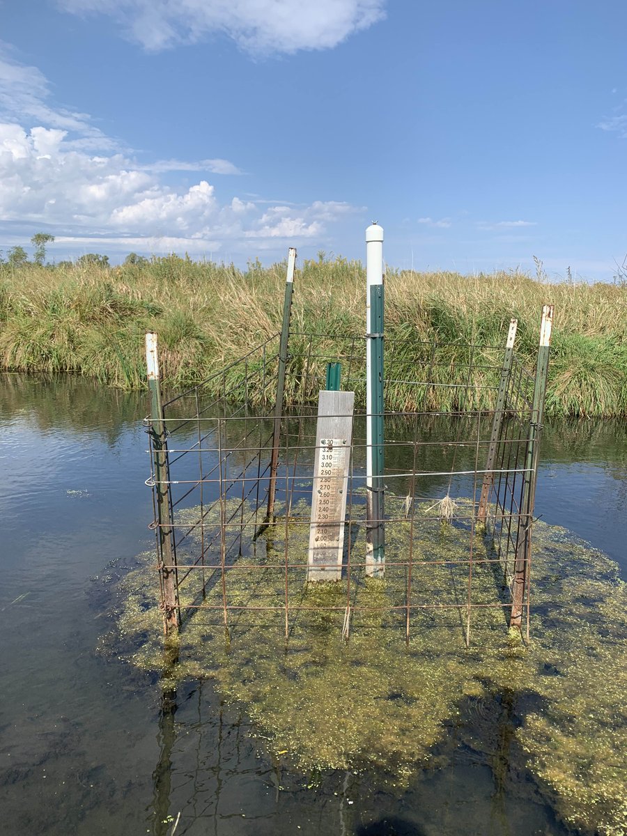 CraneTrustNVC's tweet photo. Follow the link to read more on my blog about the importance of groundwater and how we are doing our part at the Crane Trust to help monitor this important natural resource! https://t.co/59YMXSBofV 

See you next time,
Amanda 

#thecranetrust #saundersfellow #conservation https://t.co/s4p7yUwAGf