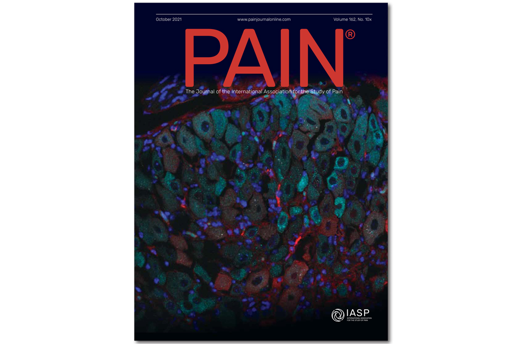 PAINthejournal's tweet photo. The October 2021 issue of #PAINJournal is now available! This month's issue includes 3 #2021GlobalYear articles and 4 #EditorsChoice picks. Read the new issue here: https://t.co/XJVm13rHmy https://t.co/tMrFB6uKYK