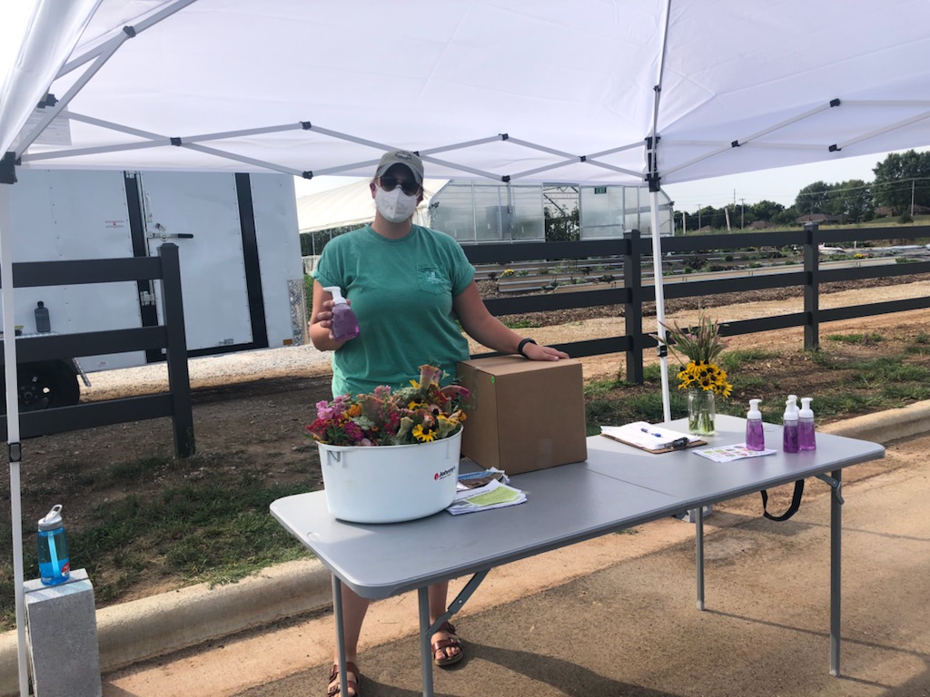 Springfield Community Gardens tweet media