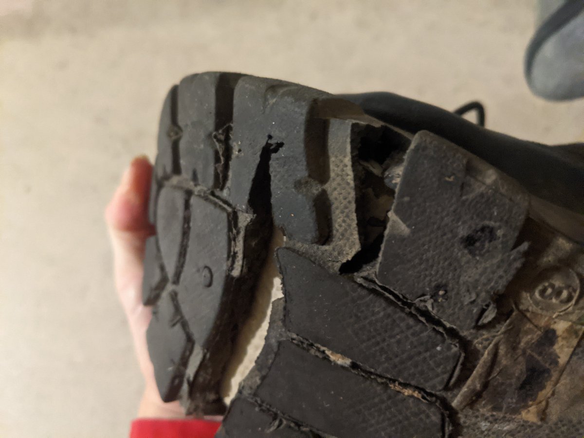 BetterDoBetter's tweet photo. i am so incredibly frustrated &amp; angry, bought these shoes from @Forever21 two weeks ago, wore them TWO TIMES &amp; this is what happens
what's even worse is this very morning i threw the receipt out because it was garbage day
now I'm stuck with literal trash how is this even possible https://t.co/IsLg80P6hF