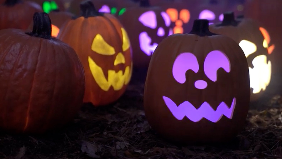 Spooky season is officially here 🎃 👻 

Get your thrills for Halloween in Indy with our spooktacular guide: bit.ly/3omMt8u

<a href="/NewfieldsToday/">Newfields</a> <a href="/ConnerPrairie/">Conner Prairie</a> <a href="/TCMIndy/">The Children's Museum</a> <a href="/IndianapolisZoo/">Indianapolis Zoo</a> <a href="/EiteljorgMuseum/">Eiteljorg Museum</a> <a href="/IRVHalloween/">Irvington Halloween</a>