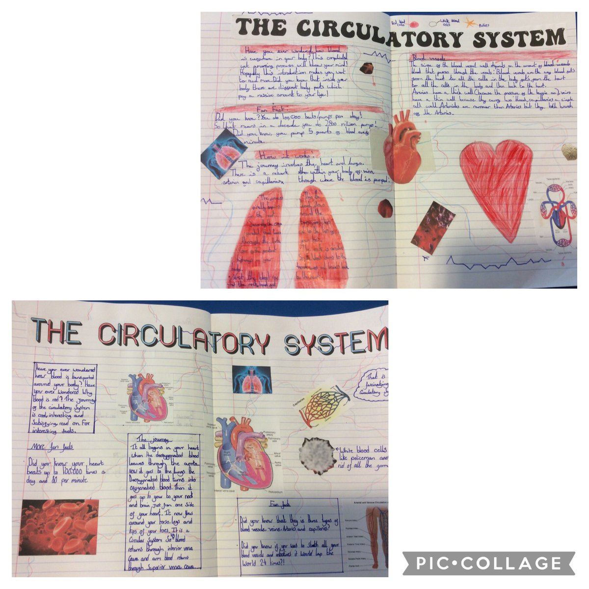 Arnold View Primary School tweet media