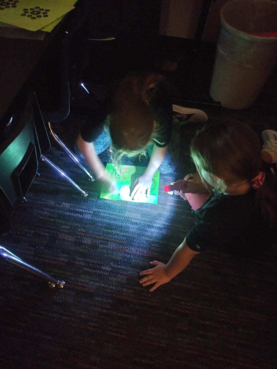 Monica Davalos tweet media