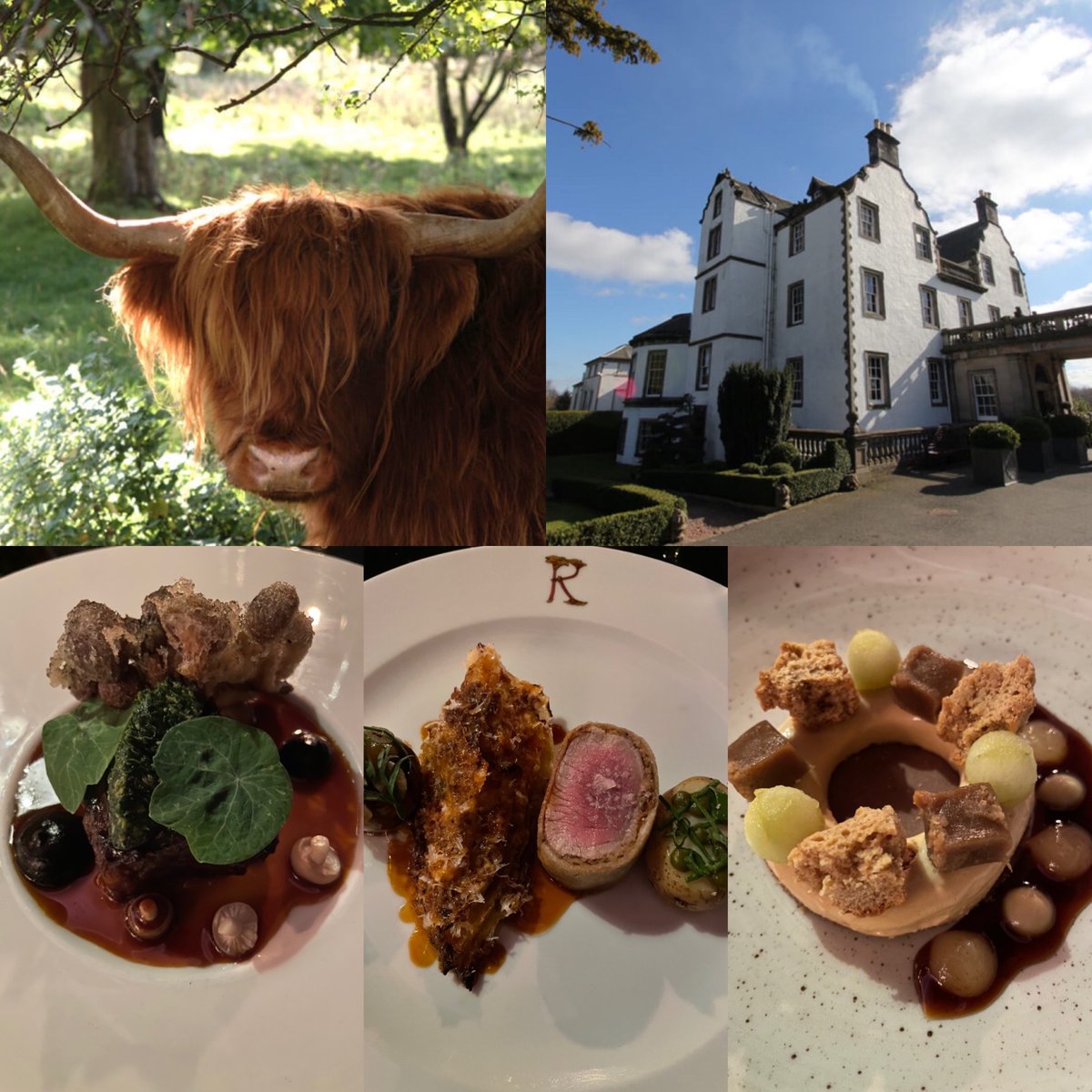 A delight to return to @PrestonfieldHH. Quality Red Star Service & Hospitality from this wonderful oasis so close to Edinburgh city centre. Fantastic 2 #AARosette food in Rhubarb with sumptuous decor & furnishings. ratedtrips.com/establishments… @edinburgh @VisitScotland