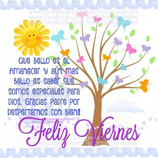 @AlfonsinNilda @HalconaUFF @RosaNegra_08 @cagalafiesta @MarinaEle23 @Elmaslegal @malaCATosa1 @ilegalilegal1 ╭⚘╮➽ #BuenViernes ╰🥀➽#AmigosSinFronteras🙌 ╭⚘╮ Buenos días feliz viernes y ╰🥀fin de semana amigos ¡¡🥰 ∺🌻@RosaNegra_08 🥀∺@AlfonsinNilda ∺🌻@otrogoga60 🥀∺@cagalafiesta ∺🌻@MarinaEle23 🥀∺@Elmaslegal ∺🌻@malaCATosa1 🥀∺@ilegalilegal1 ∺🌻@HalconaUFF