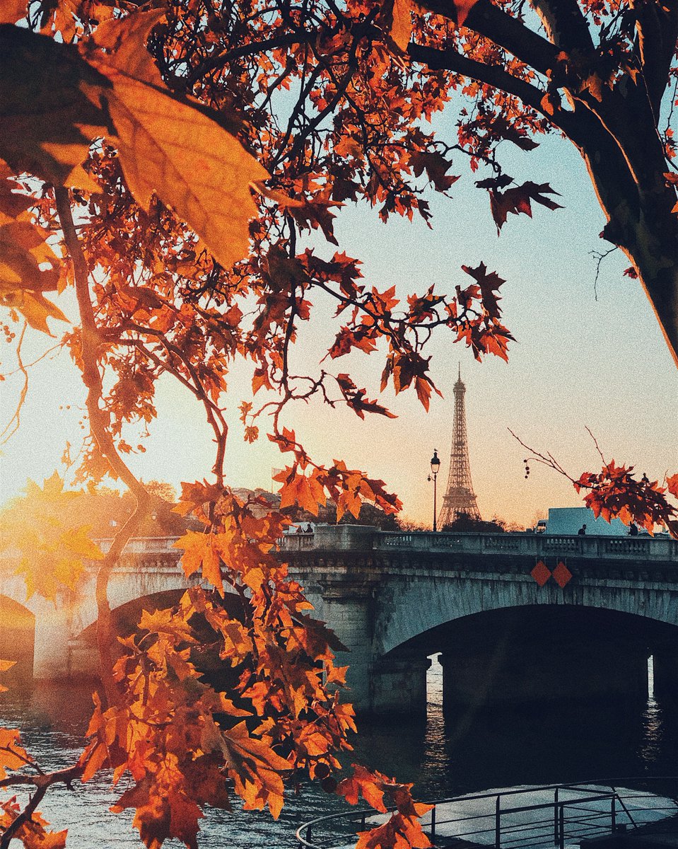 TropeReader's tweet image. October is here 🍂 shop our Fall Print Collection at trope.com 📸 @coculiu