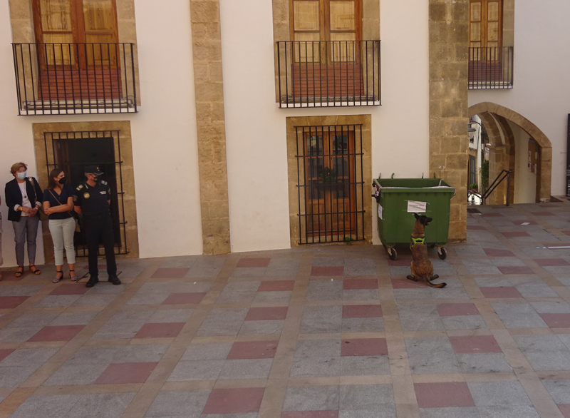 Xàbia AL DIA tweet media