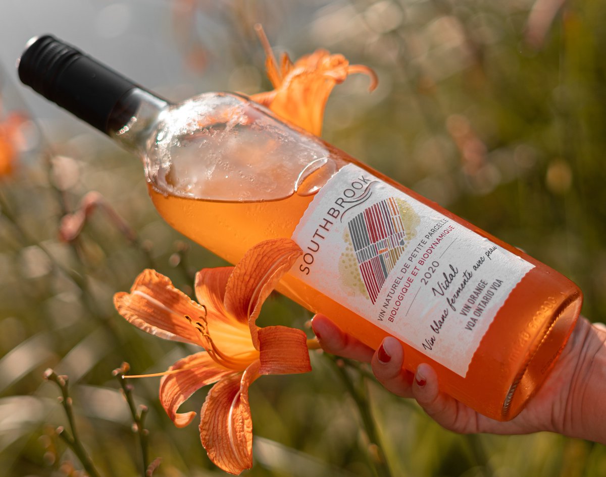 Somewhereness (@somewhereness) on Twitter photo Looking for an orange wine to try? 100% Organic and Biodynamic <a href="/SouthbrookWine/">Southbrook Vineyards</a> 2020 Estate Orange wine is Unfiltered, Dry, and has no added Sulphites, the only ingredient in this wine is their estate-grown Organic Vidal Grapes!
#DiscoverSomewhereness #harvest2021 #terroir #Wine Looking for an orange wine to try? 100% Organic and Biodynamic <a href="/SouthbrookWine/">Southbrook Vineyards</a> 2020 Estate Orange wine is Unfiltered, Dry, and has no added Sulphites, the only ingredient in this wine is their estate-grown Organic Vidal Grapes!
#DiscoverSomewhereness #harvest2021 #terroir #Wine