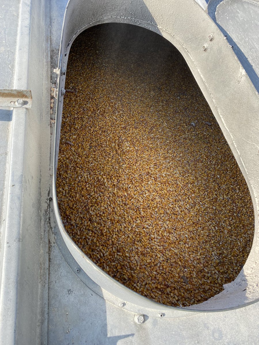 jescott81's tweet photo. #fullbin #harvest21 https://t.co/raZr9Sinqy