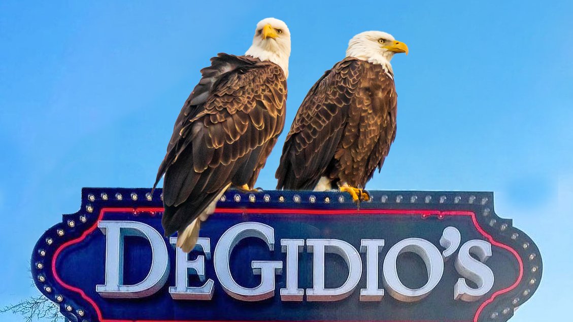DeGidios's tweet photo. Hey Eagles fans! Seeing your favorite band this weekend? "Take it Easy" and fuel up at DeGidios before rocking out to the classics – only 5 minutes from the @XcelEnergyCtr! #DeGidios #TwinCitiesFoodie #EatLocal #HappyHour #PastaPlease #HotelCalifornia #TheEagles #XcelEnergyCenter https://t.co/I6yoaFbDUV