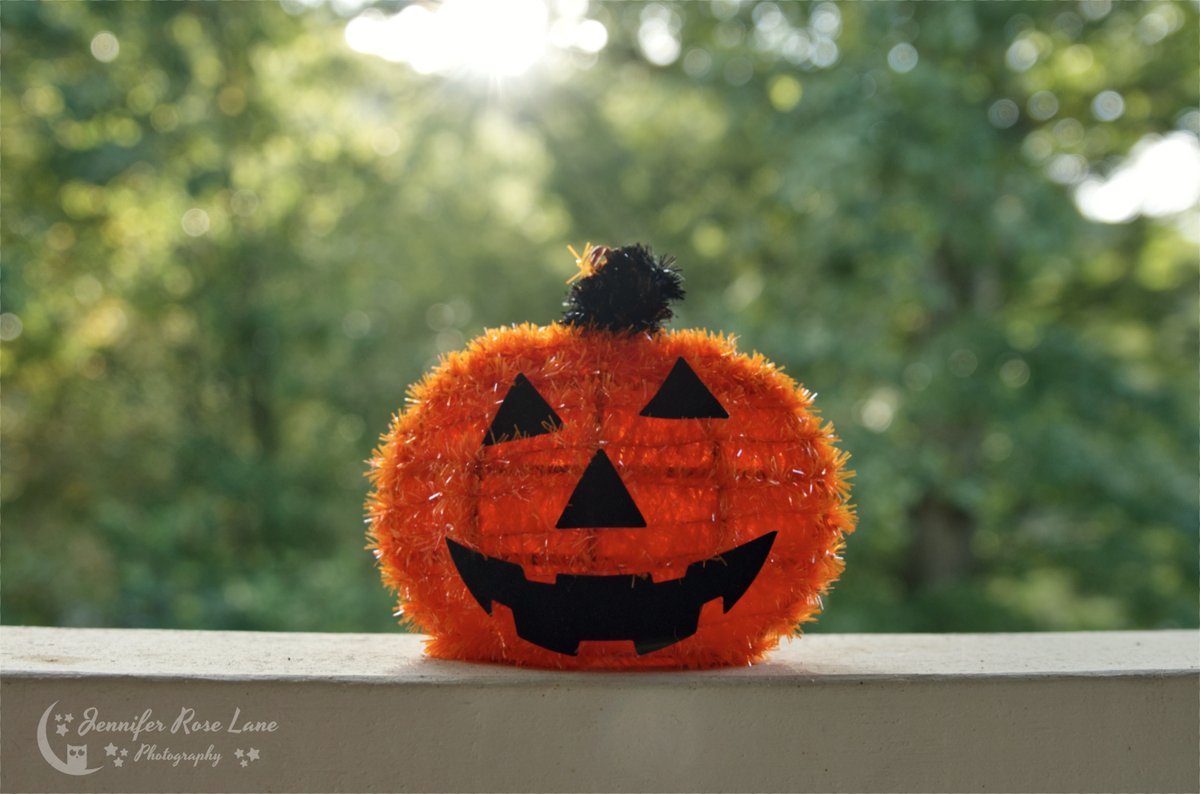 Jens_Starry_Sky's tweet photo. Happy October ๐งก๐ #HappyFirstDayOfOctober #October #OctoberisHere #pumpkin https://t.co/tyAsucdubX