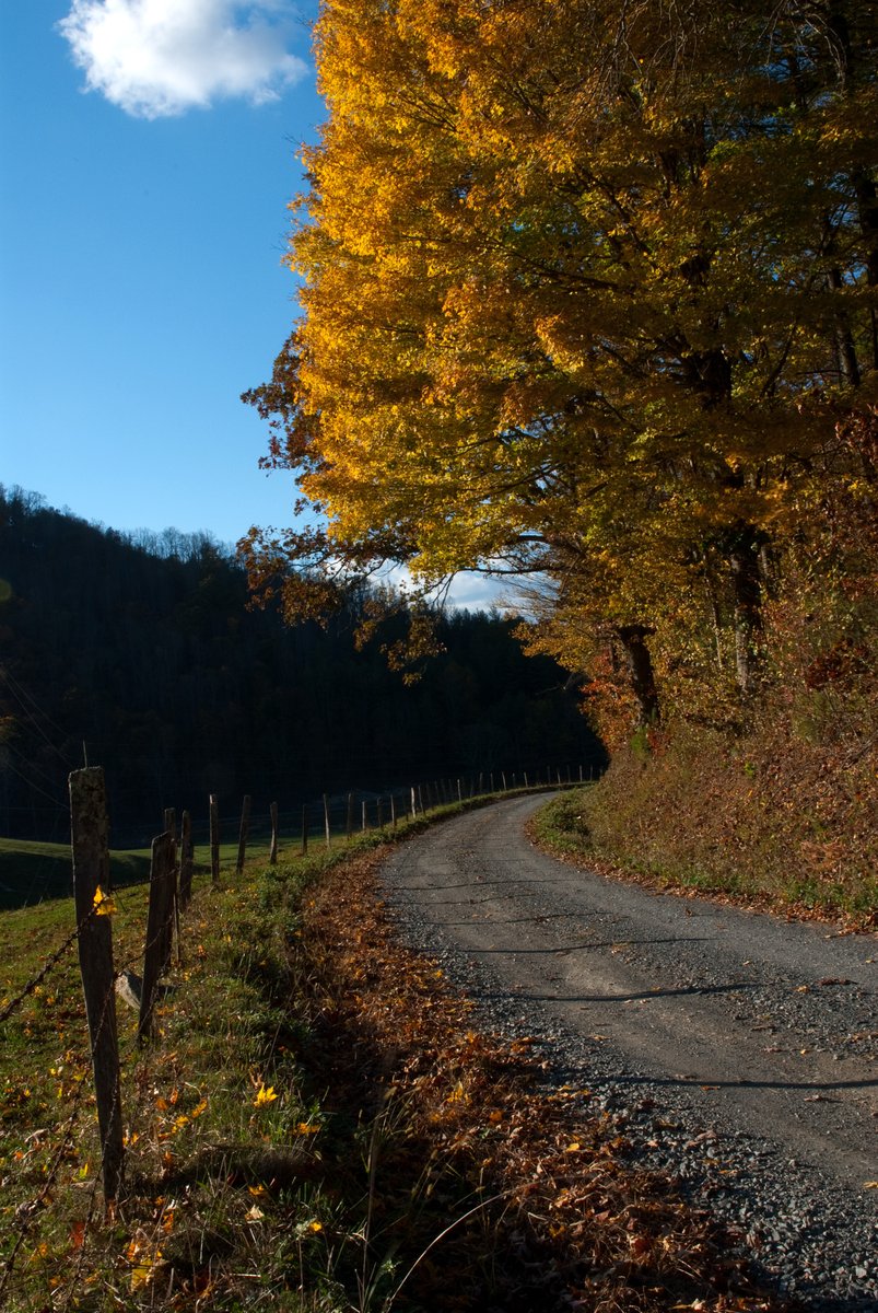 MastStore's tweet photo. Who's ready for fall? It is a gloriously beautiful season - but its colorful peak can pass quickly, so slow down for just a bit to drink it in!
Check the #FallFoliagePrimer for itinerary ideas in Mast Store communities.
https://t.co/fI6Ze3qILd
🍂 https://t.co/Gc8fgNSXl8