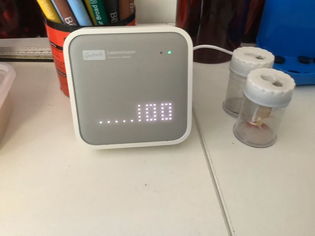 St Bart’s 🌈 (@stbartsrwb) on Twitter photo Merlons and Falcons both achieved 100 on their <a href="/learnometer/">Gratnells Learnometer</a> today. Great that our children give such careful thought to their environment and learning conditions! #soar #stbartsway Merlons and Falcons both achieved 100 on their <a href="/learnometer/">Gratnells Learnometer</a> today. Great that our children give such careful thought to their environment and learning conditions! #soar #stbartsway