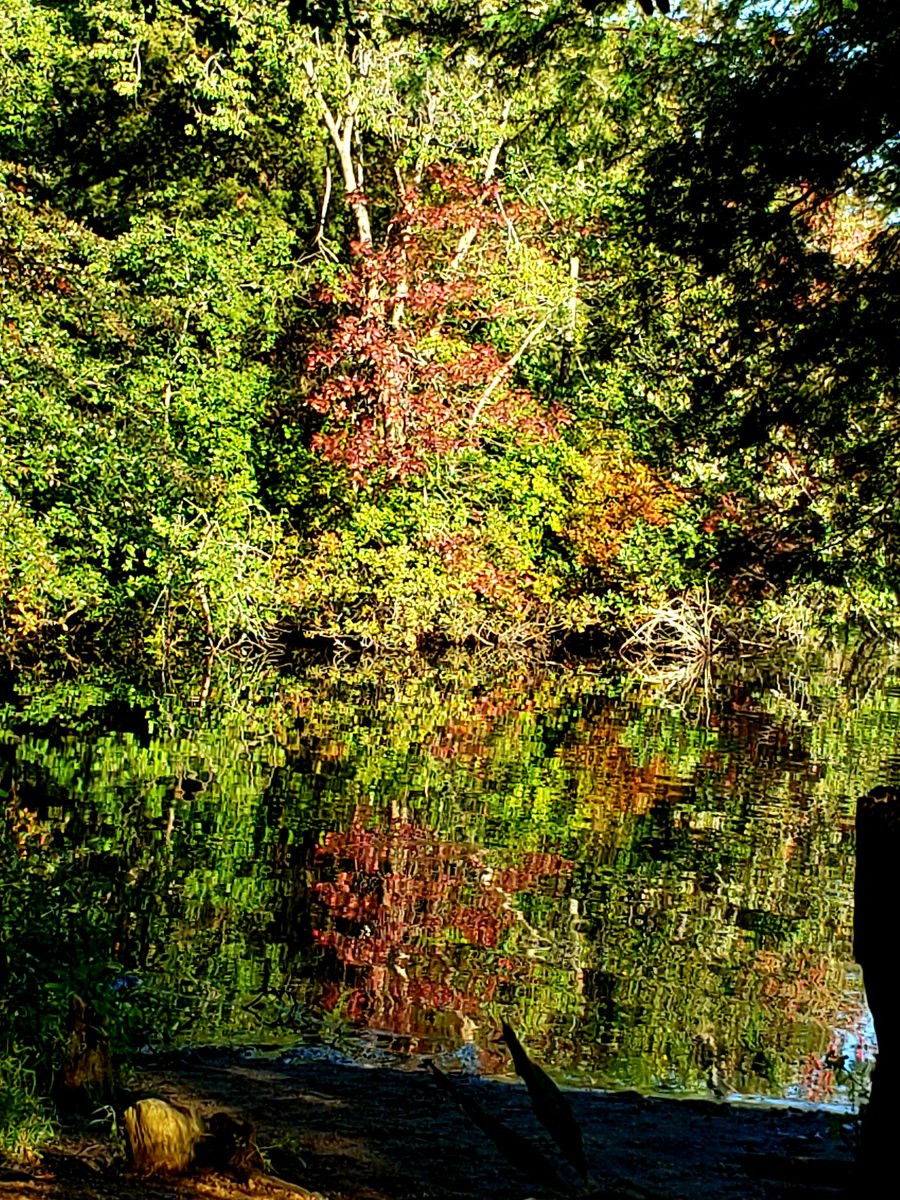 AcyRunway13's tweet photo. @MaryaskyfullofM Happy October Mary ☀️🍂 
#FallReflections #nature https://t.co/shqKcJcS0e