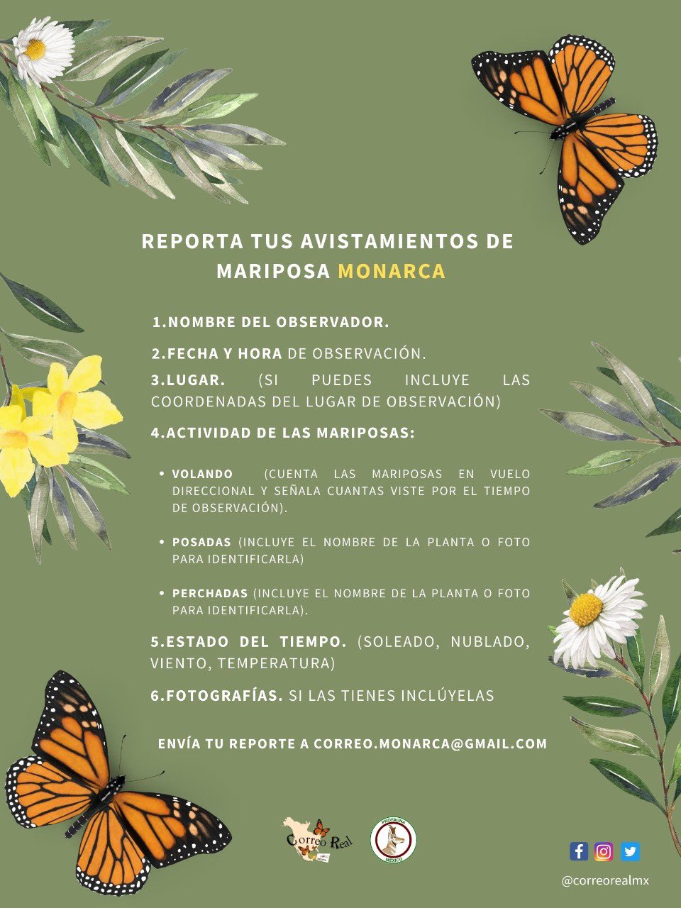 Correo Real-Mariposa Monarca on Twitter: Correo Real-Mariposa Monarca on Twitter: