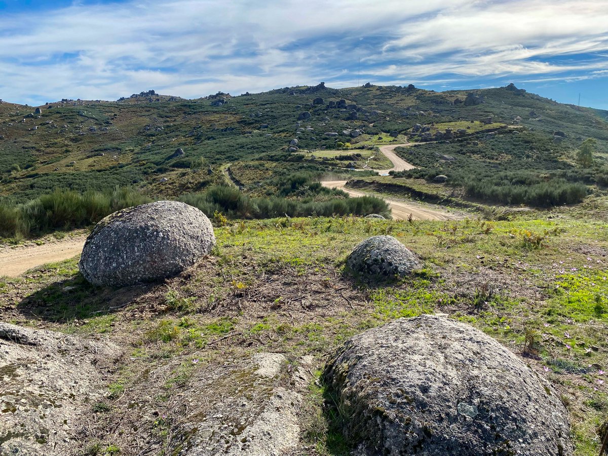 FIAERC's tweet photo. We are live!
📻 ➡️ https://t.co/tUQ3anQP6J
#QualifyingStage #FIAERC #RallyFafe https://t.co/MhkpN72FRC