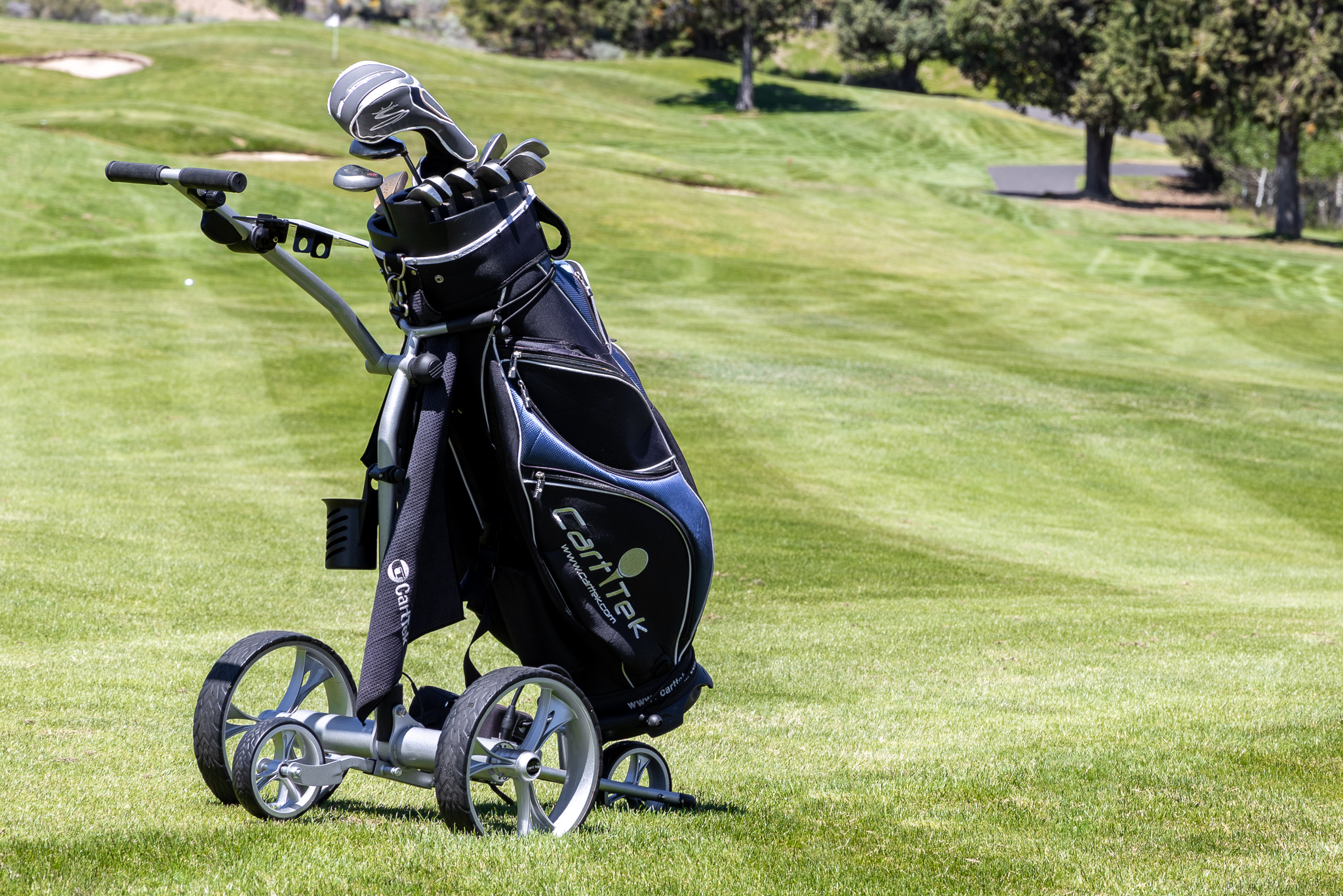 Cart Tek Golf Carts CartTek X
