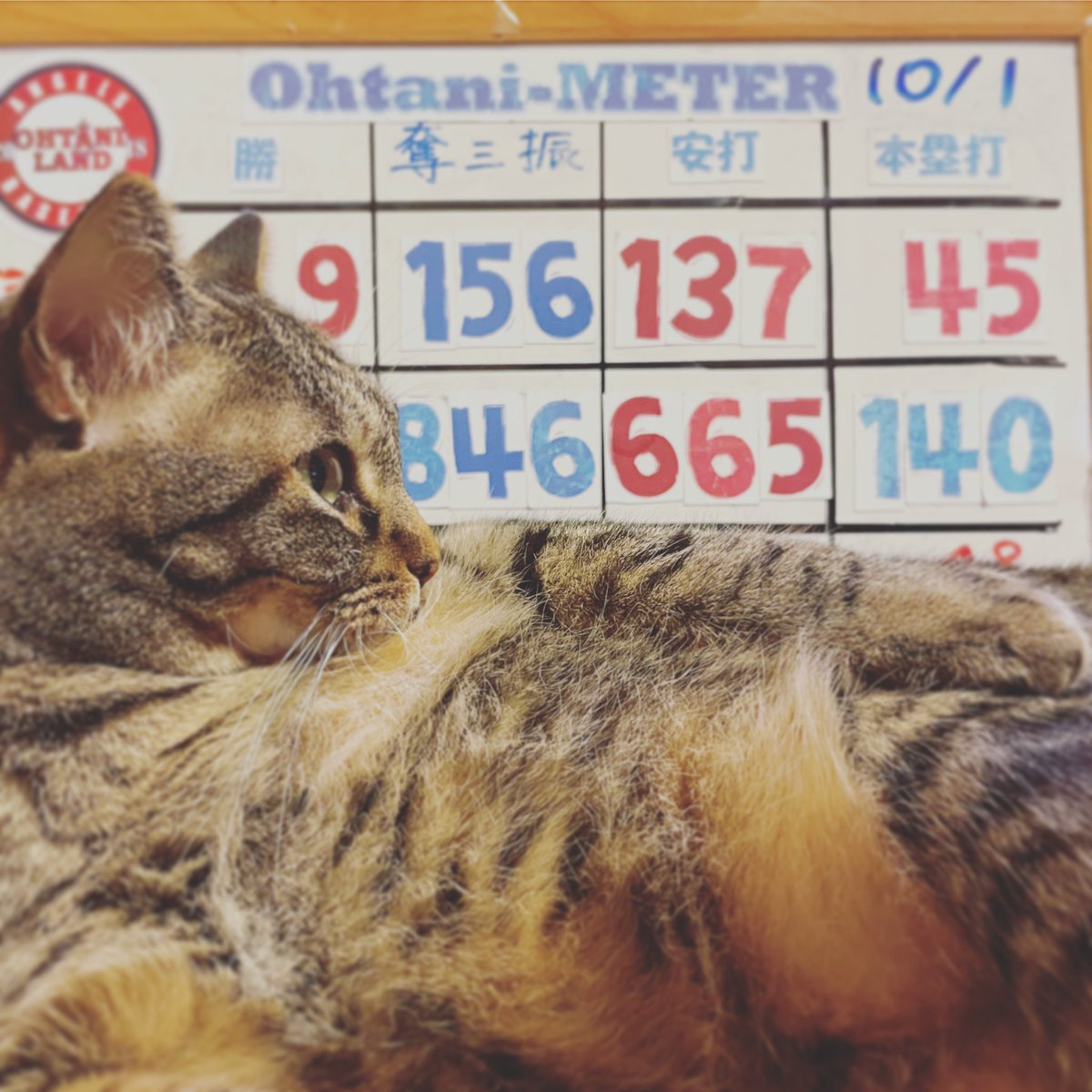 shoheimeter's tweet photo. 元気もりもり2長打&1打点!!#shoheimeter #大谷メーター #大谷翔平 #OHTANILAND
https://t.co/kM3fe6QnrZ https://t.co/FiaU40HYpk