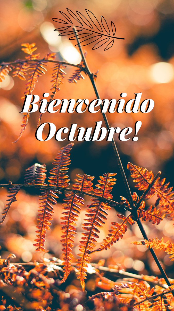 Martha's Kitchen tweet media