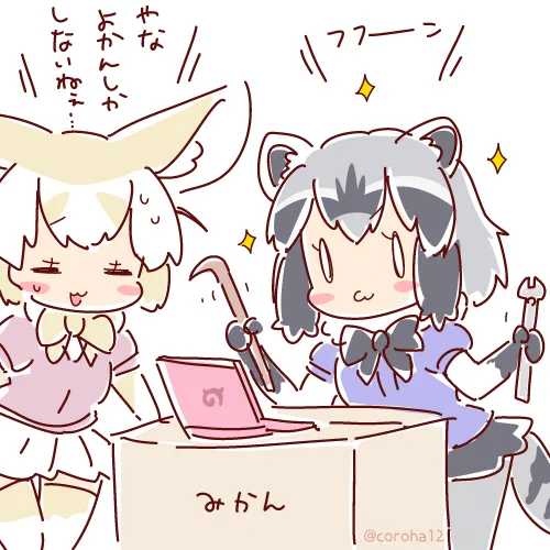 でゅぷりけーたと えすえすでーがとどいたのだ かいたいさぎょうにとりかかるのだ 