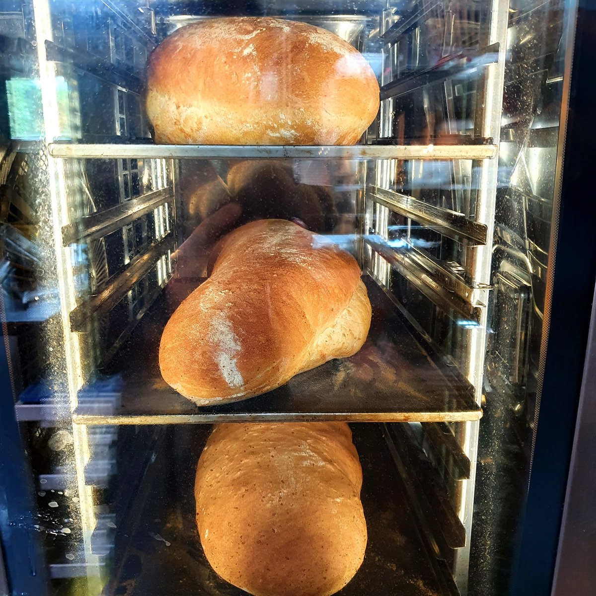 ZEBSDeBilt's tweet photo. Brood met aioli smaakt altijd goed bij je aperitief, maar zeg nou zelf HUISGEBAKKEN brood smaakt toch veel beter!
#huisgebakken #brood #restaurant #ZEBS #debilt #bilthoven #groenekan #zeist #utrecht #utrechtoost #westbroek #hollandserading #maartensdijk #boschenduin #dendolder https://t.co/G8rpxEs5Bt