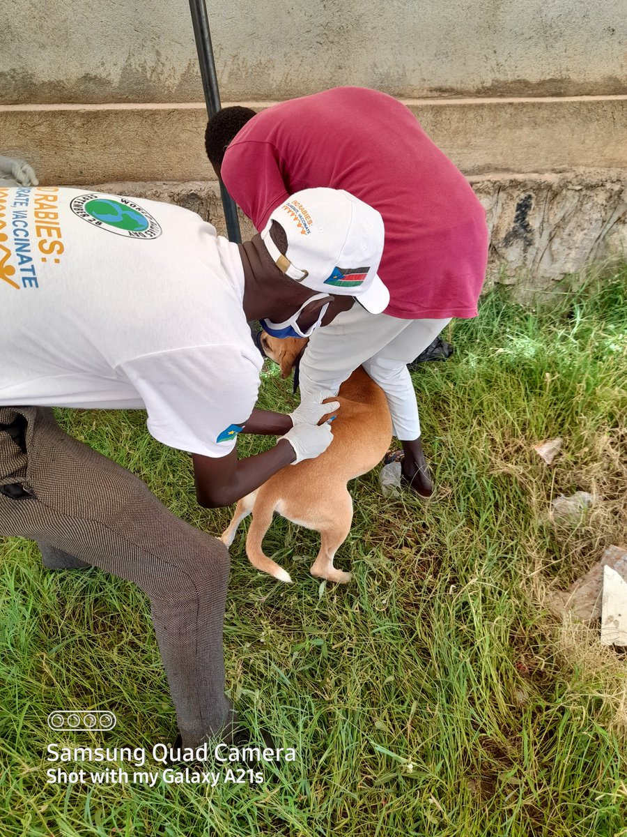 EmirManyiel's tweet photo. Don't let it go unattended.  Do your part and make the world safe and healthier against rabies. World rabies day, 28th,Sept. Under the theme: Rabies facts, Not fear!
#SSOT. https://t.co/ZMW1WDsvQJ
