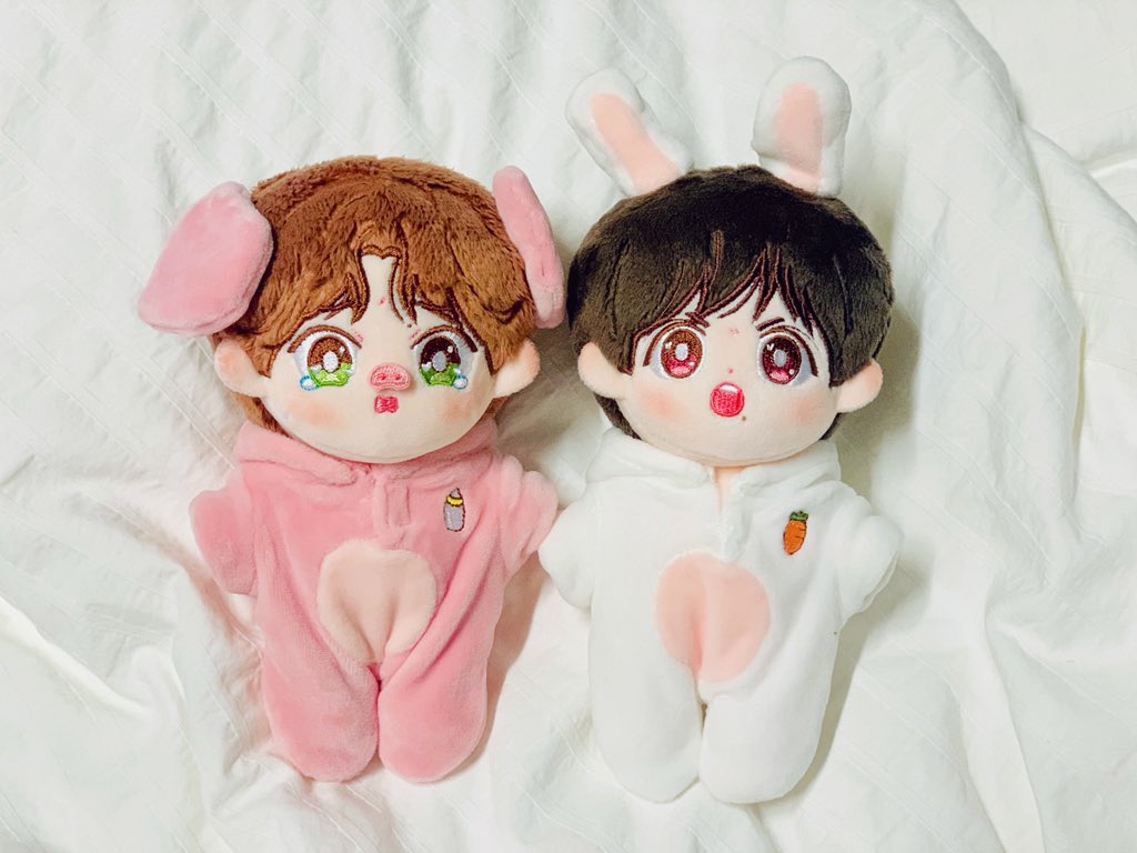 first_coco's tweet photo. 드디어 코코솜네도 보비쟌비가...🐷🐰
#보비쟌비 https://t.co/9FHny7Ky5B