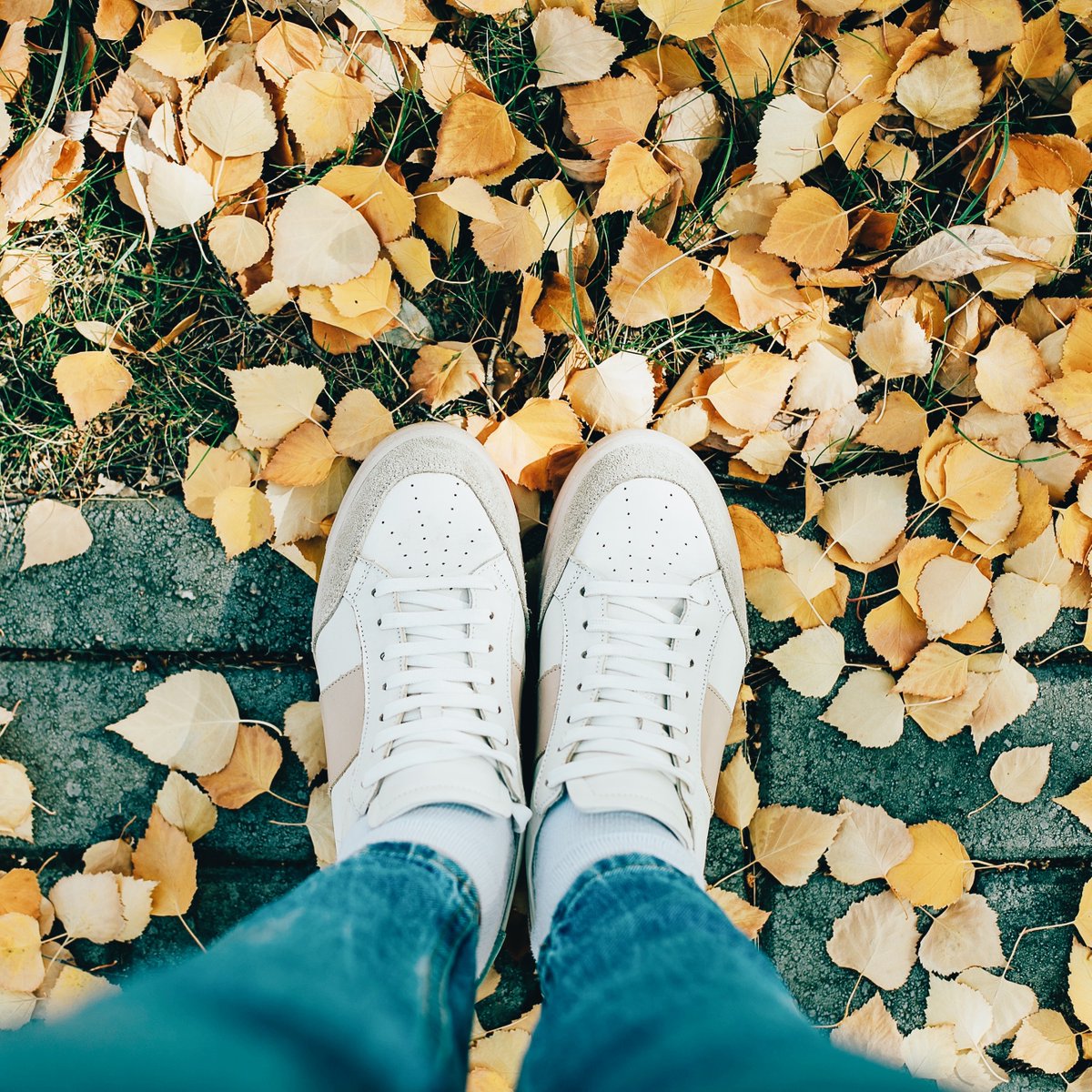 lsuedining's tweet image. Hello fall and helloooo pumpkin spice! October is finally here!🍂🧡