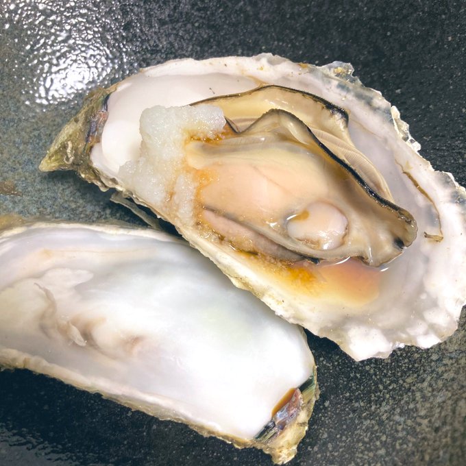 どれだけ想ってももう牡蠣はいないんだな・・・・ 