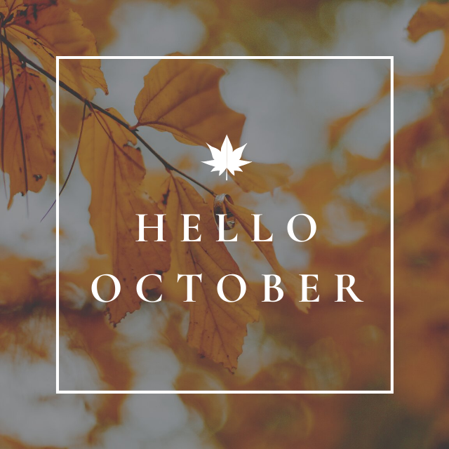 CTScienceCenter's tweet photo. π π Can you tell we love fall here at the Science Center? Happy October everyone! π π
#Fall #HappyFall #FallVibes #October #SpookySeason #CTScienceCenter #LoveScience #Science https://t.co/FWEClZXl4d