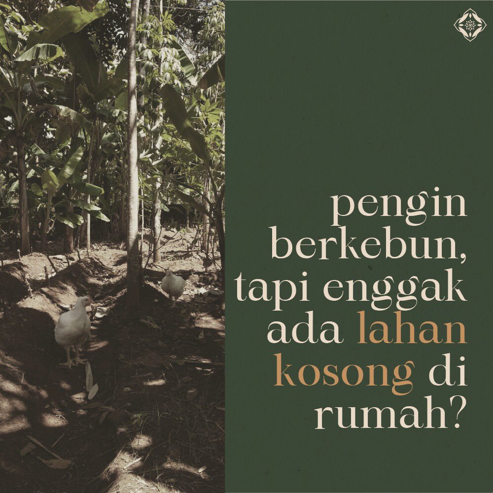 arvinpratama__'s tweet photo. Hai kawan-kawan, yuk ajak dan berdayakan tetanggamu, kanan kirimu di lingkunganmu untuk kembali ke alam.

@LPDP_RI 

#SwasembadaAngan
#IndonesiaTumbuhIndonesiaTangguh
#DiriUntukNegeri
#AkuPastiMengabdi
#PK175 https://t.co/sZoZM7Qq2q