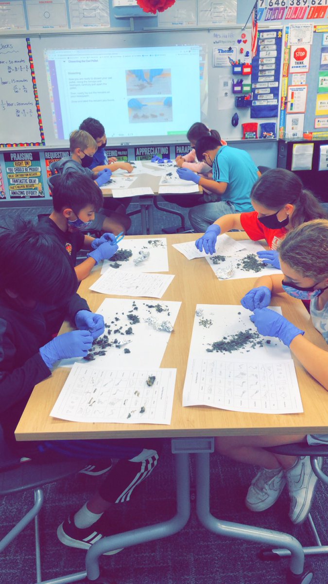 Scientists dissecting owl pellets.#inspire96