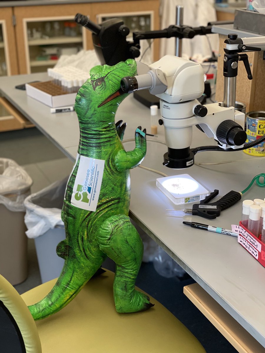 Phadnis Lab: monsters pushing flies.