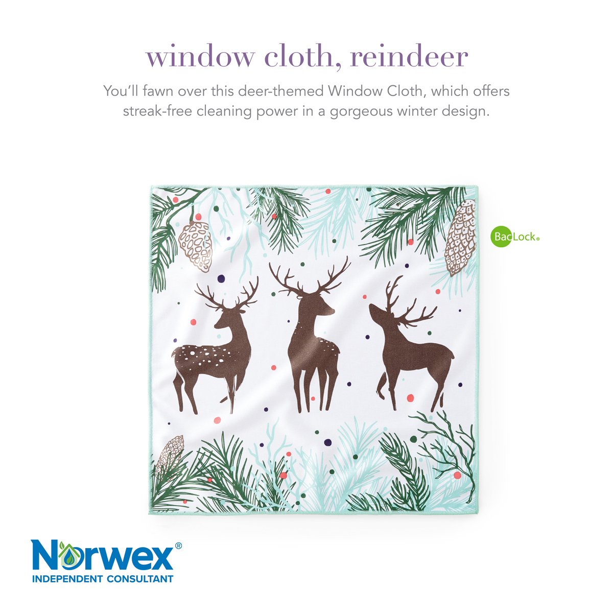 norwex's tweet photo. You’ll fawn over our reindeer-themed Window Cloth, which provides a safe and streak-free shine to windows, mirrors and more—with only water. ✨ In a wonderful winter design. #Norwex #Microfiber #BacLock https://t.co/yG7tNoWBYc https://t.co/A0GBEOH2VM