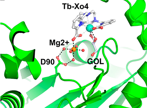 Ken Lo (@bhkenlo) on Twitter photo Influence of Divalent Cations in the Protein Crystallization Process Assisted by Lanthanide-Based Additives pubs.acs.org/doi/10.1021/ac… Riobé, Girard, Maury, and co-workers <a href="/InorgChem/">Inorganic Chemistry</a> #europium #terbium #adenylatekinase #AdkA #supramolecule #biocrystallography #proteinbinding #kits Influence of Divalent Cations in the Protein Crystallization Process Assisted by Lanthanide-Based Additives pubs.acs.org/doi/10.1021/ac… Riobé, Girard, Maury, and co-workers <a href="/InorgChem/">Inorganic Chemistry</a> #europium #terbium #adenylatekinase #AdkA #supramolecule #biocrystallography #proteinbinding #kits