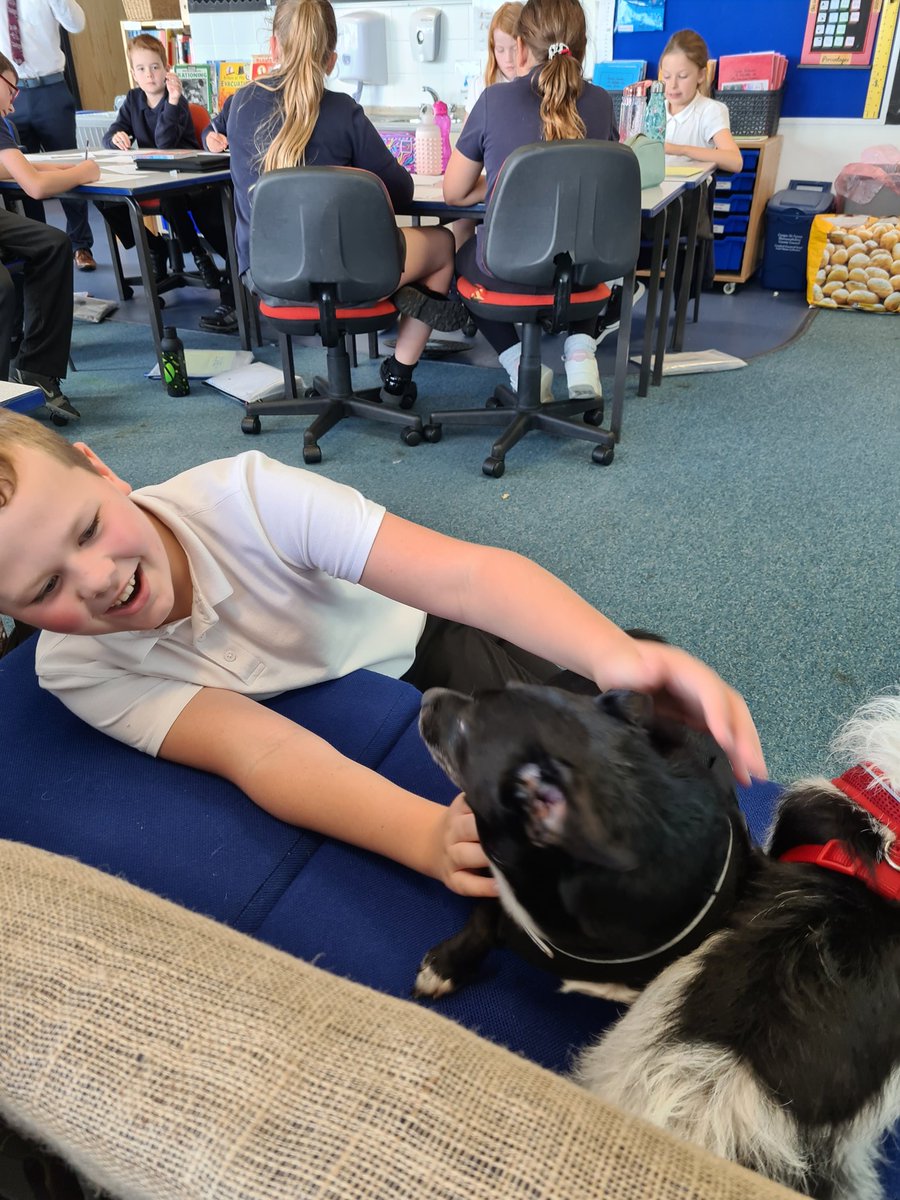 ChepstowScience's tweet photo. What a fantastic afternoon team teaching with Mr Shields. Your class are awesome. Pupils loved their designer dogs session and their visit from the Paw Patrol. Authentic collaborative learning at its best. #pembrokeprimary #chepstowpawpatrol #chepstowscience https://t.co/2NbdOdUeZS