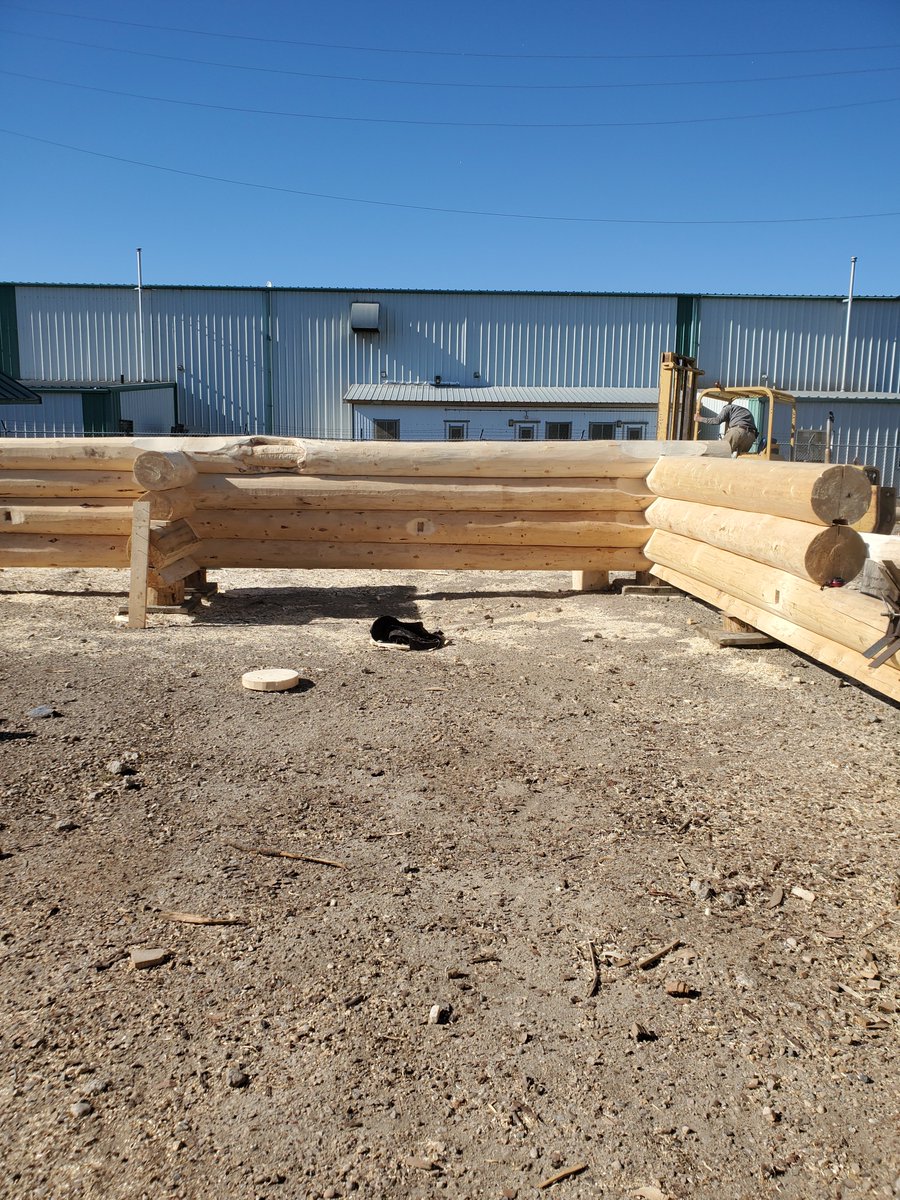 MH_WoodS's tweet image. Our log garage is coming along.  We even found a nice character log with a cat face on it which was cleaned and shaped.  This cat face most likely came from a porcupine since it was at least 25ft up the tree. #loggarage #customlogwork #logbuilder #handcrafted #logwork