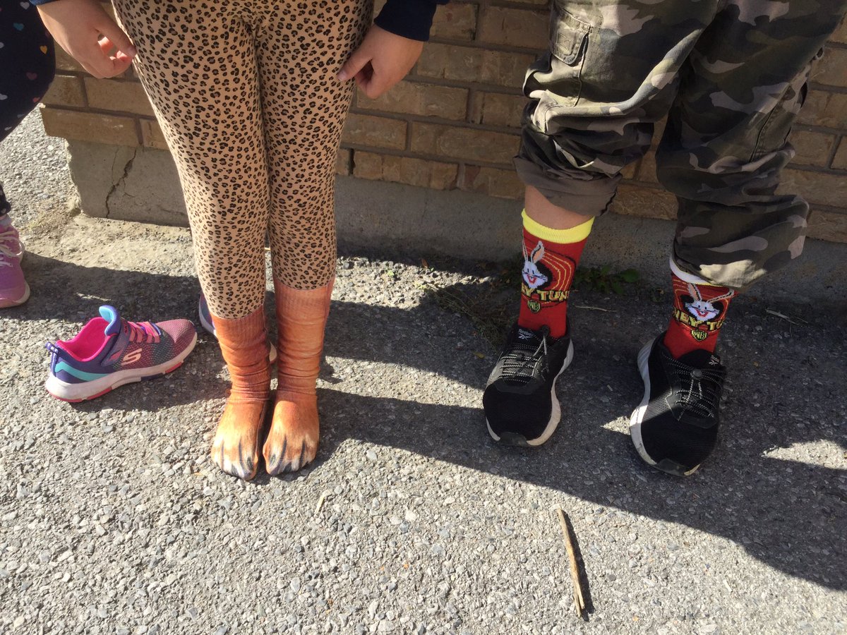 MrsHenchey23's tweet photo. A beautiful day for our Terry Fox walk! So much fun and so many crazy socks! Thank you to everyone for your donations. #TerryFoxWalk 🏃‍♂️ https://t.co/12GArYKDOp