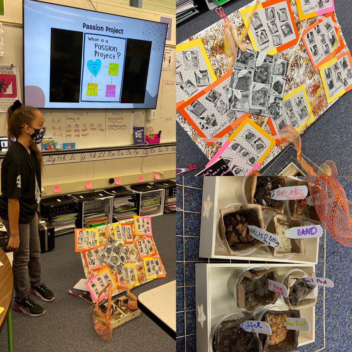 AshleyMBSD's tweet photo. Our first round of #passionprojects are rolling in! Super proud of these #badGATE students! We’ve learned about cleaning up the environment, how to care for a bunny and how plants grow in different types of soil (or orbeez!!) @BurtonSchools #bullpupstrong https://t.co/A0HTA47BRG